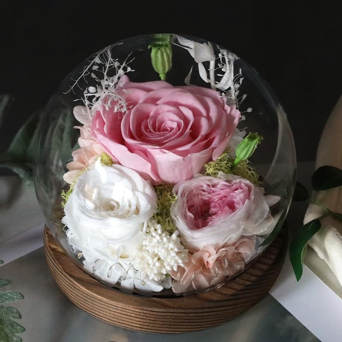 Dailygoods- Eeuwige Rozen in Glazen Koepel - Geconserveerde Echte Bloemen - Roze - Massief Houten Sokkel - LED Verlichting - 3 tot 5 Jaar Mee - Bloemencadeau