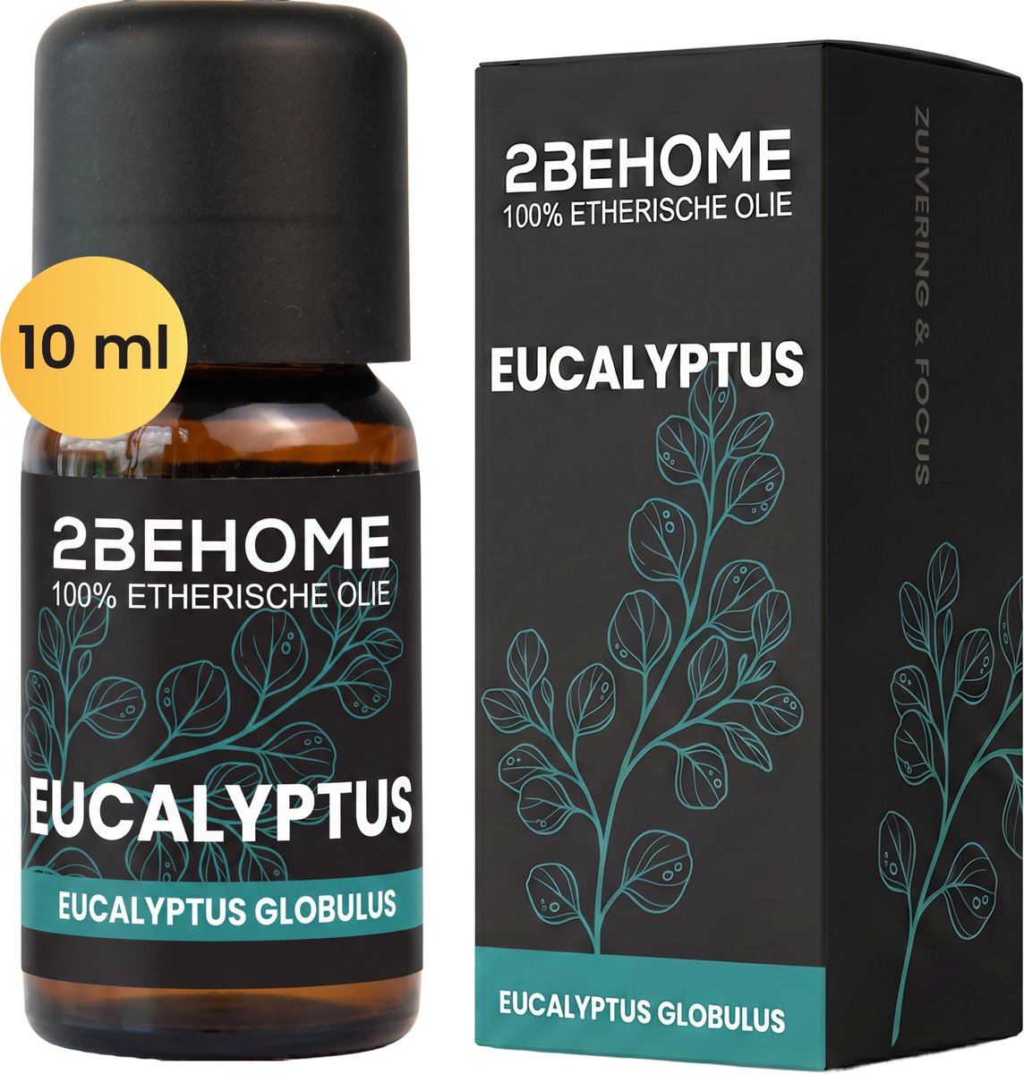 2BEHOME Etherische Olie Eucalyptus - 10 ML - 1 Stuk - Essentiële olie voor Aromatherapie - Essential oil - Geurolie voor Aromadiffuser