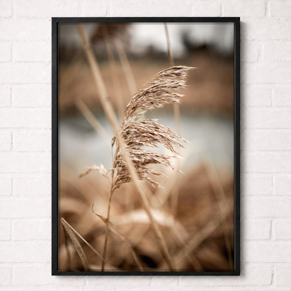 Beige Rietpluimen Poster - Botanical Nature Collection - Natuur Posters - A1+ 61 x 91,5 cm