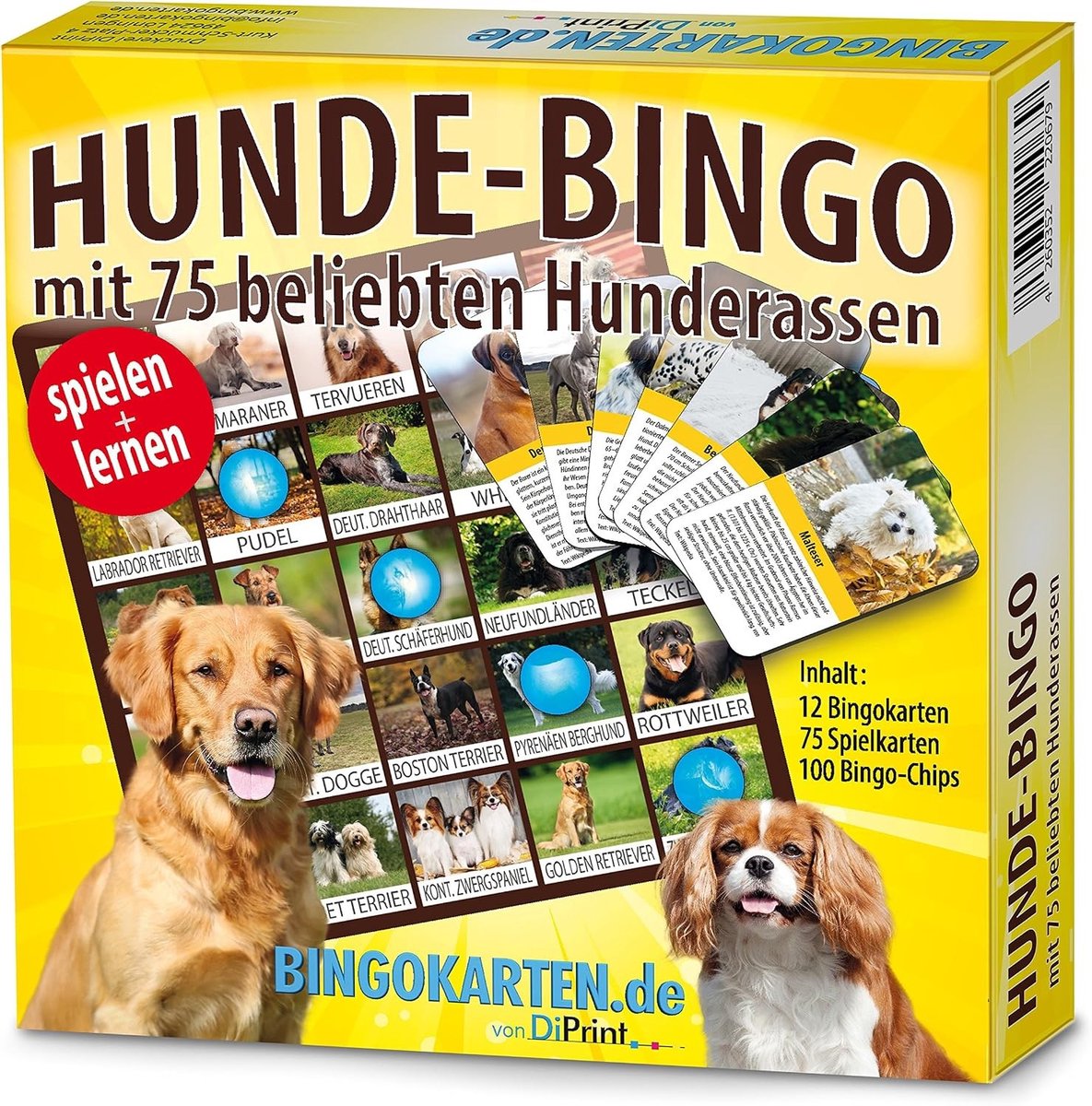 Hondenbingo Spel - Multicolor - 15 x 15 cm - Leuk Leerzaam Gezelschapsspel - Voor Gezinnen en Vrienden