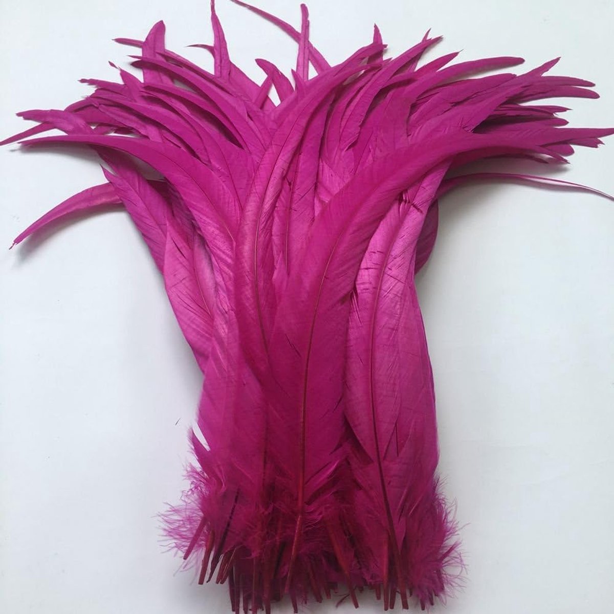 Roosterveren 40-45 cm - Fuchsia - Set van 20 - Perfect voor creaties en decoraties - ShopVlot