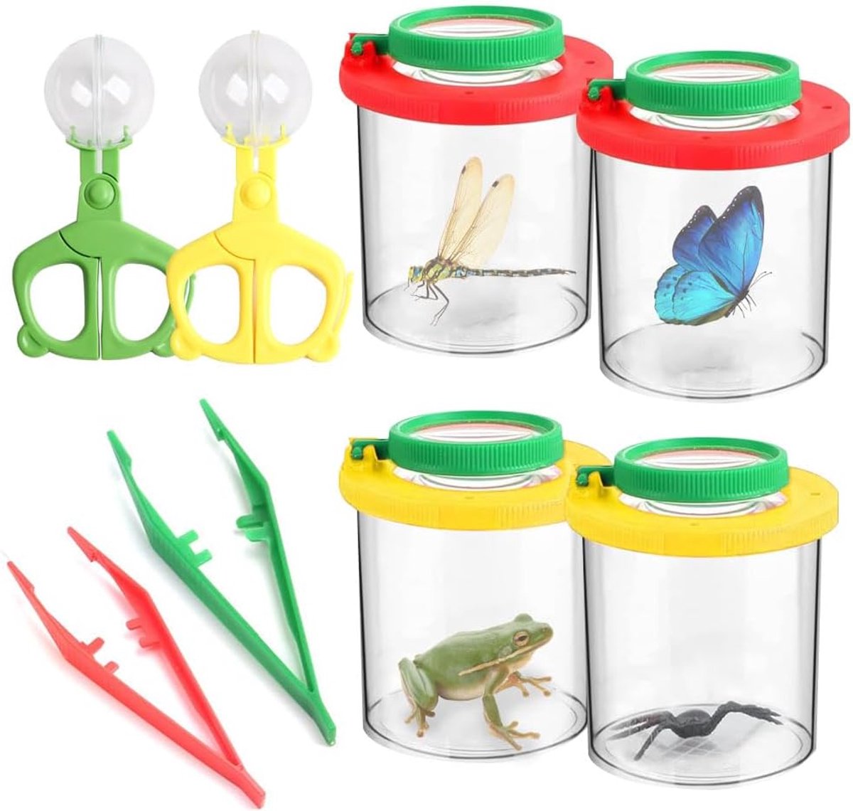Insectencontainer 12 stuks - kleurrijke box voor insectenobservatie - met vergrootglas en pincetten - ShopVlot