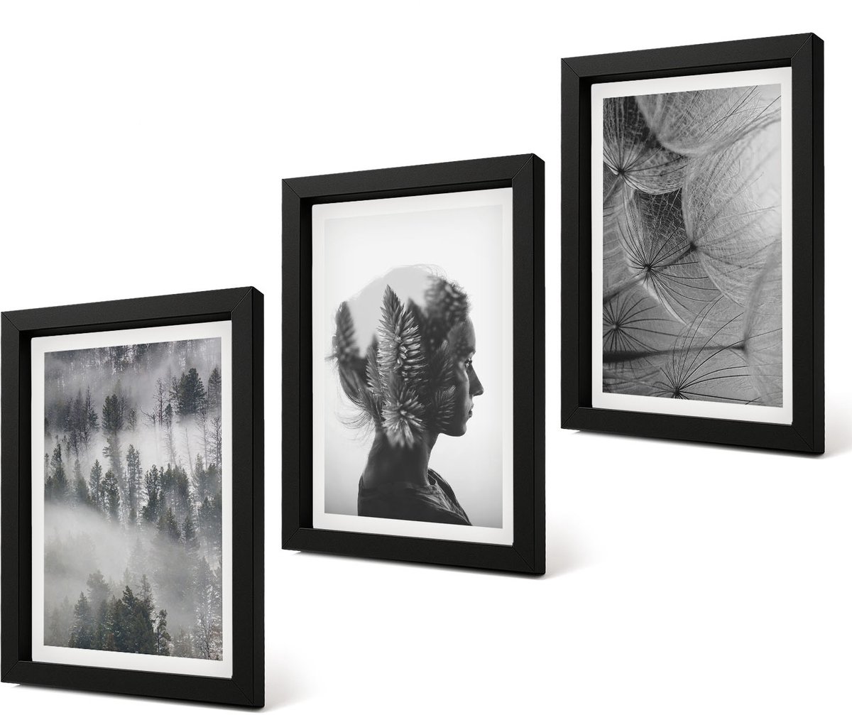 Coloray 4-Delige Schilderij Set - Bos in de mist: portret met bomen en een tere paardenbloem. - 20 x 30 cm - Decoratieve Muurdecoratie - Slaapkamer - Woonkamer Decoratie