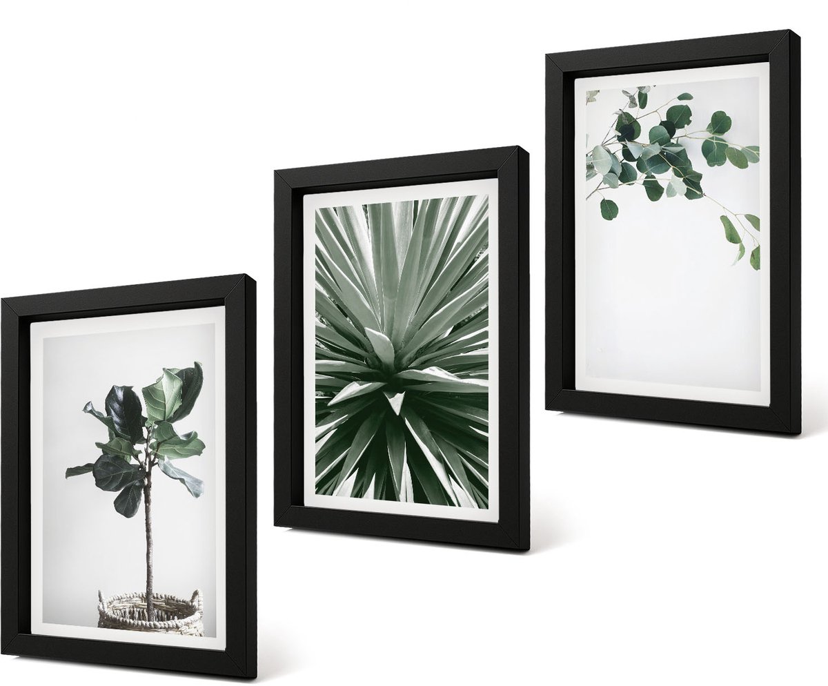 Coloray 4-Delige Schilderij Set - Groene planten in een minimalistische stijl - 20 x 30 cm - Decoratieve Schilderijen - Woonkamer - Interieur - Woonkamer Decoratie