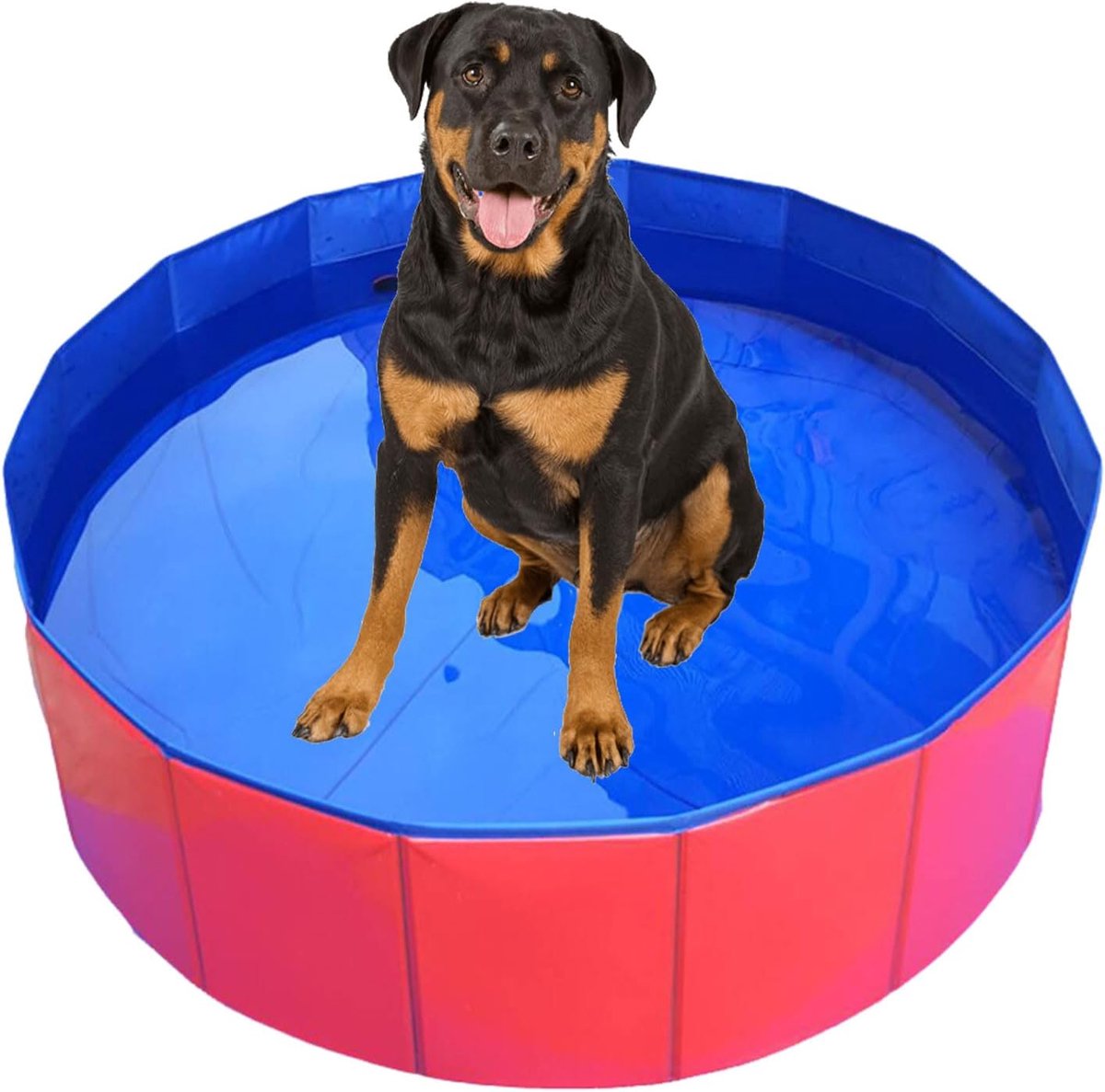 Foldable Dog Pool, Dog Pool for Small Dogs, Dog Pool, PVC Dog Pool, Dog Pool, Non-Slip Children's Pool, 30 x 10 cm - ShopVlot
