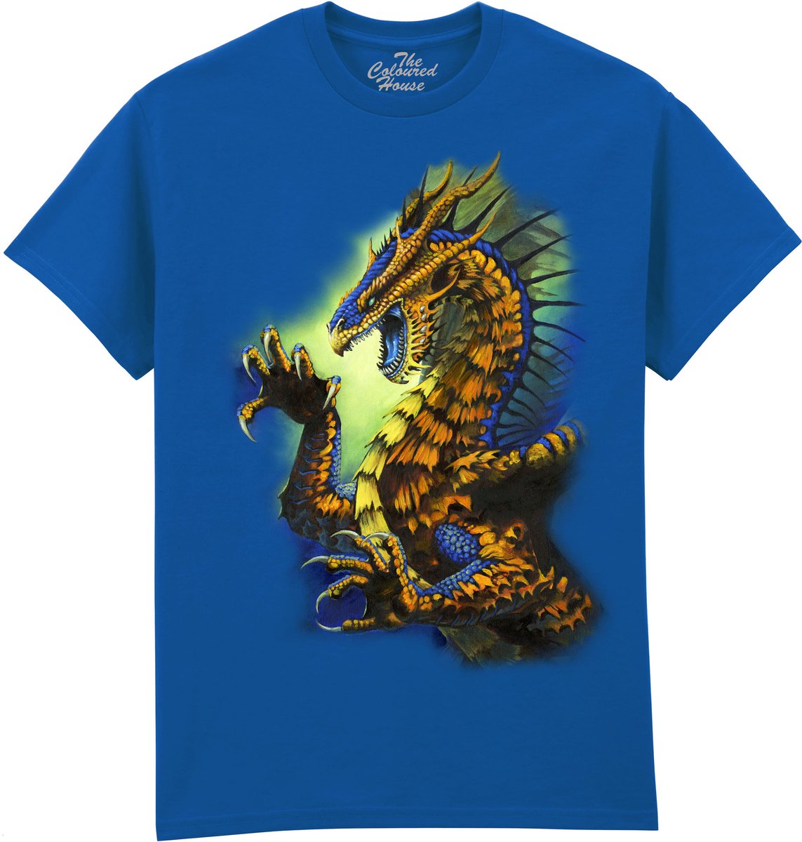 Draak Dragon Fury The Coloured House T-shirt S