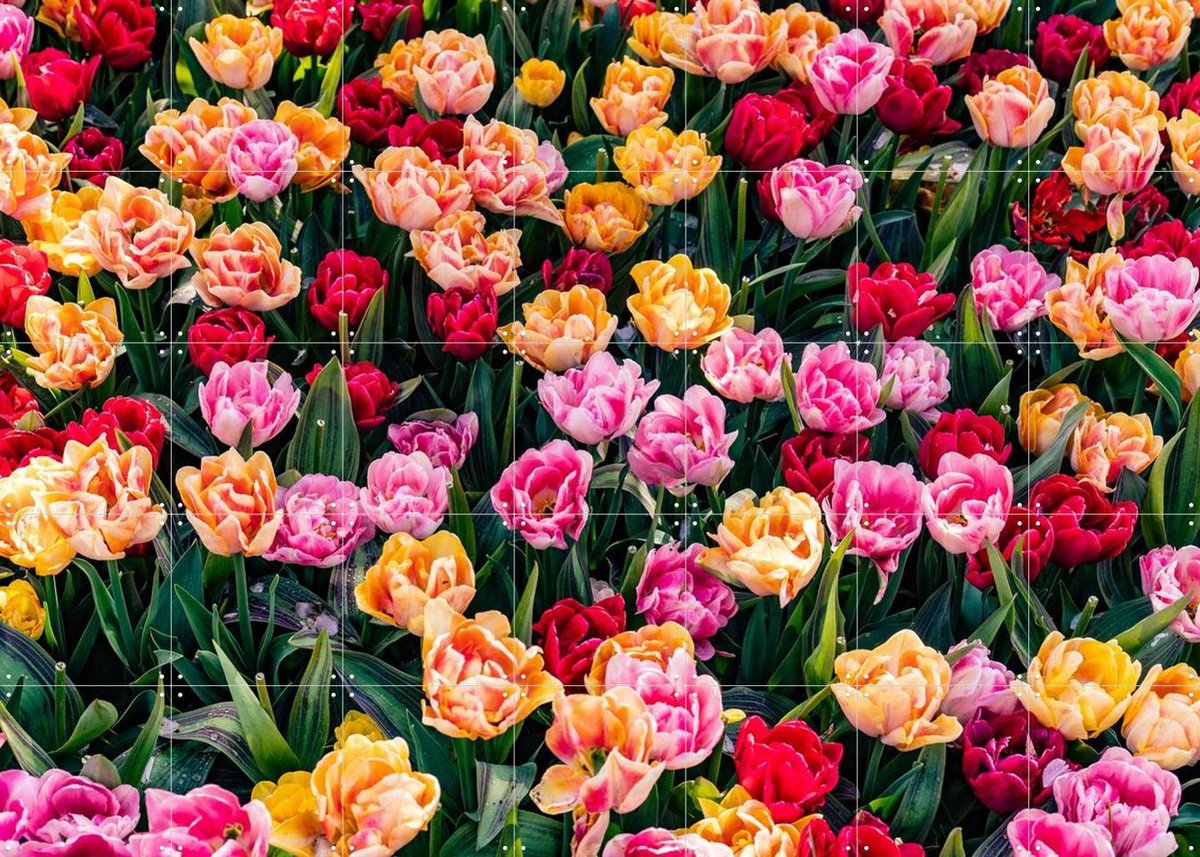 IXXI Keukenhof, Margriet Hulsker - 140 x 100 cm - Gratis ophangtool - Grote wanddecoratie en posters - Fotografie, Kleurrijk, Woonkamer, Eetkamer