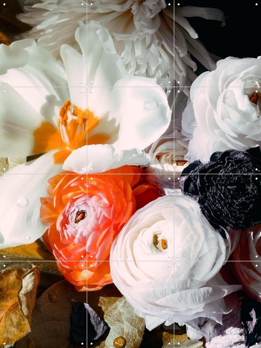 IXXI Ranunculus 10, Leigh Viner - 60 x 80 cm - Gratis ophangtool - Grote wanddecoratie en posters - Fotografie, Woonkamer, Slaapkamer, Gang, Bloemen