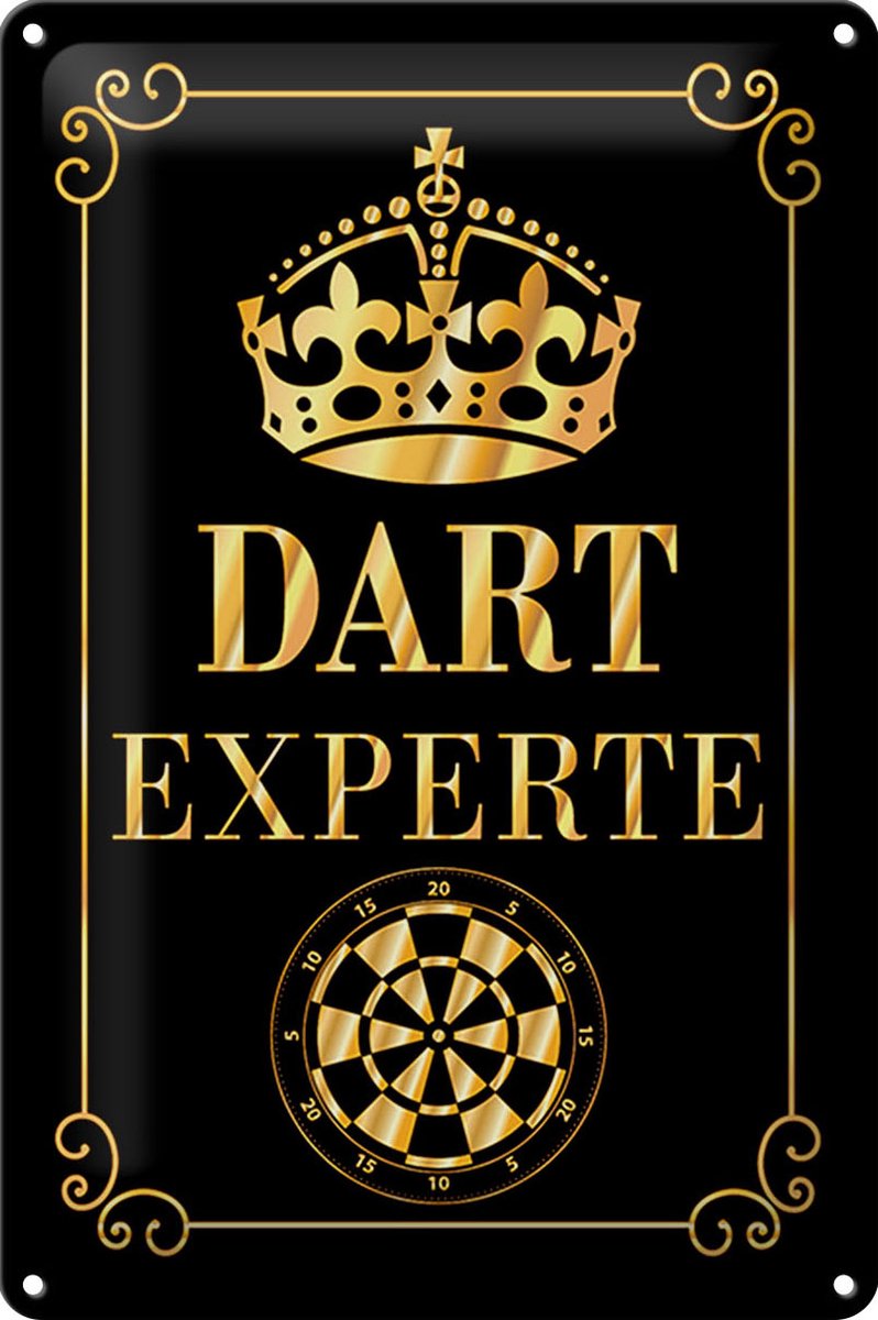 Blechschild Spruch 20x30cm Dart Experte Krone