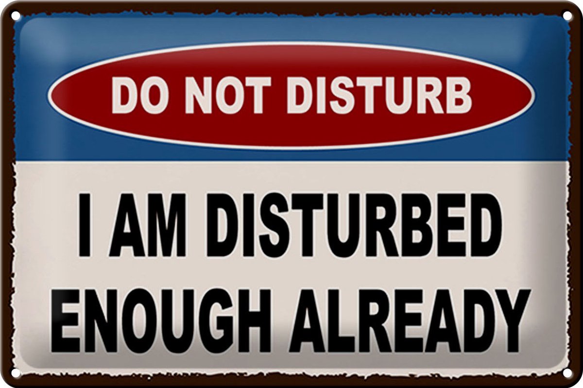Blechschild Spruch 30x20cm do not disturb I am disturbed