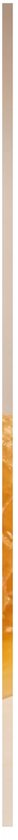 Een potje Burt's Bees lippenbalsem.