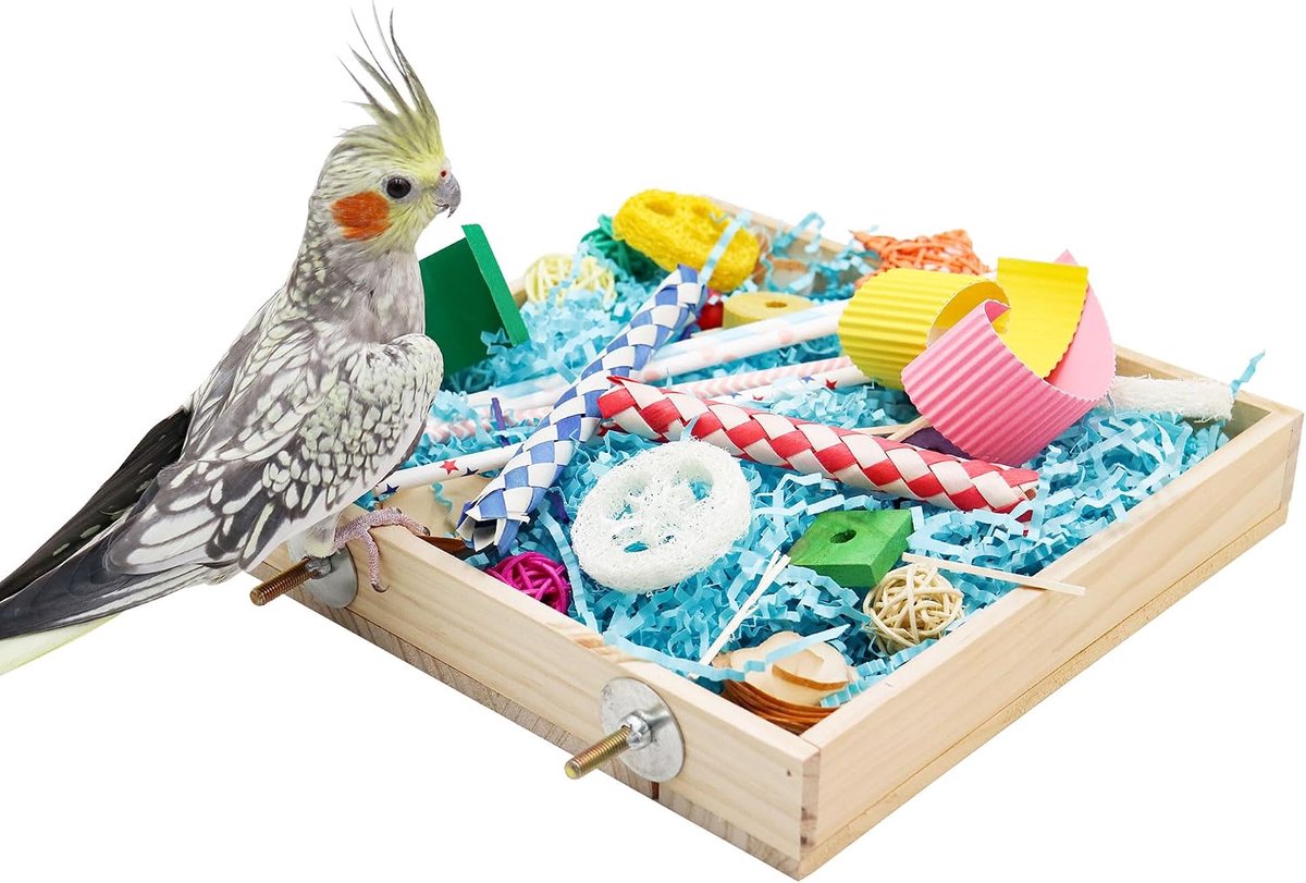 Speelgoed doos, papegaai versnipperen speelgoed doos, vogels kauwen speelgoed, vogelkooi accessoires, geschikt voor kleine vogels parkieten valkparkieten liefde vogels conures