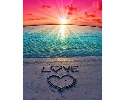 SnelShoppen - Abillyn Borduurset Cross Stitch Kits Love Beach Sunset Stamped met Voorafgedrukt Patroon Starter Kit voor Beginners - Ideaal voor Creati