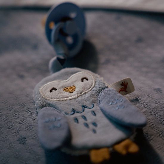 Speendoekje - Blauw - Forest Friends — afbeelding 5