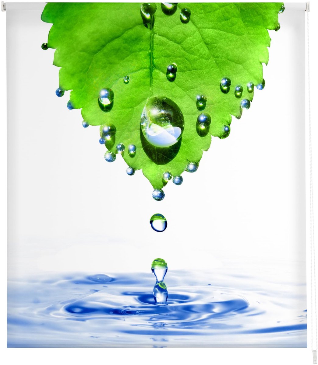 Omgoods - Estoralis Zen Translucent Digital Print Rolgordijn 130 x 255 cm