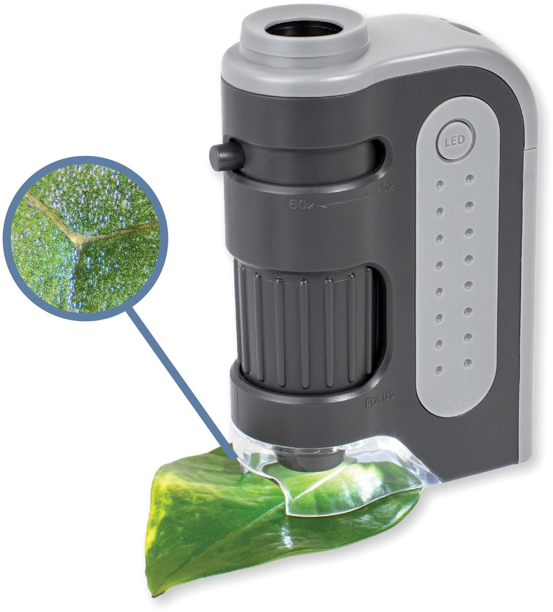 Omgoods - LED Verlichte Zakmicroscoop 60x-120x met Asferische Lens