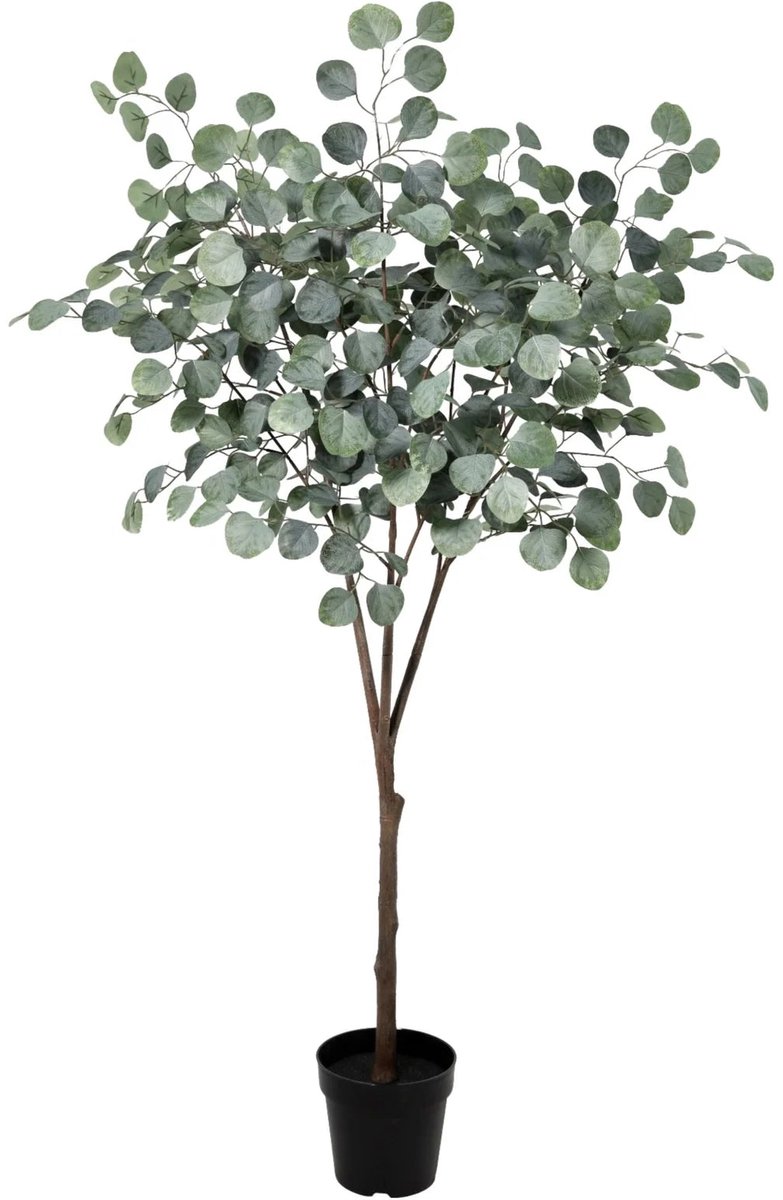 Trendyplants - Kunst Eucalyptus - Eucalyptusboom - Kunstplant - Hoogte 150cm - Potmaat Ø19cm