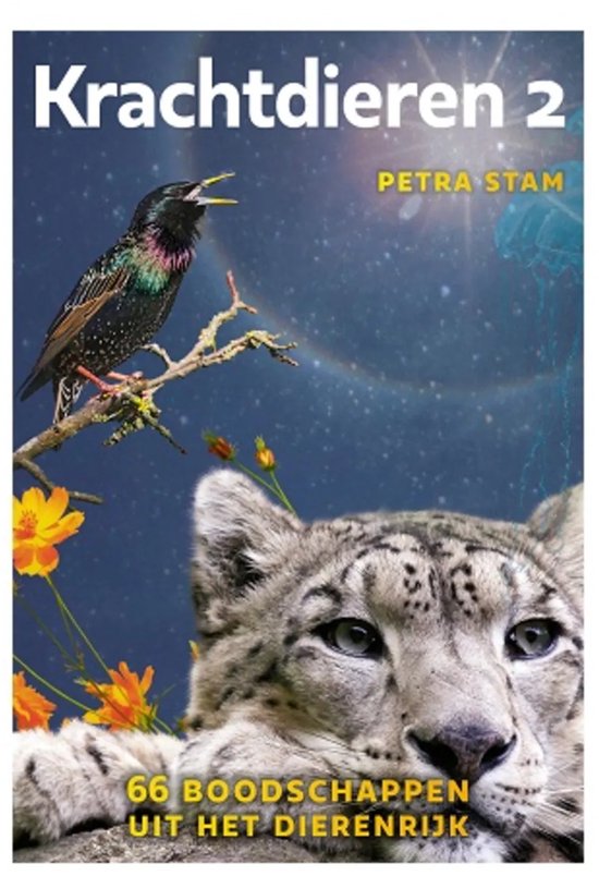 Krachtdieren Kaartenset