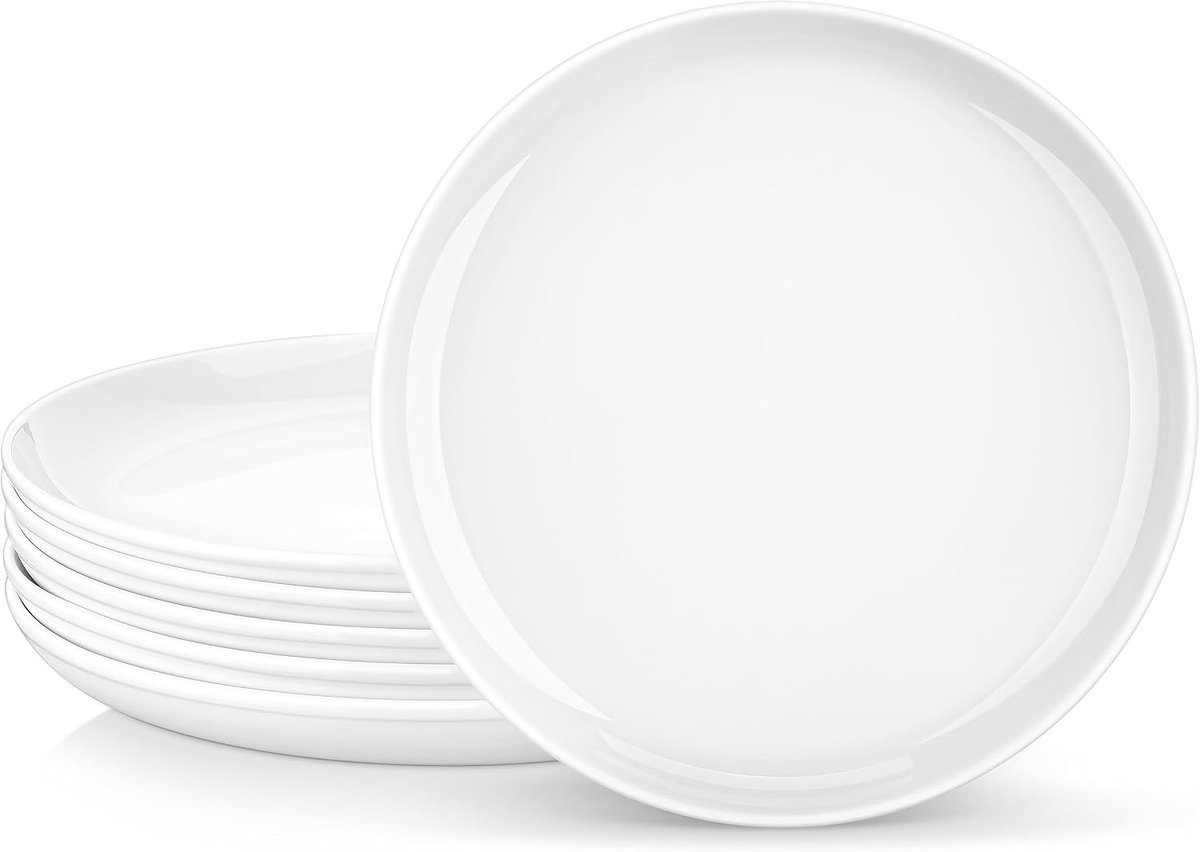 26,7 cm dinerborden, set van 6, porseleinen ronde dessert- en serveerborden, magnetron- en vaatwasmachinebestendig, wit, serie REG
