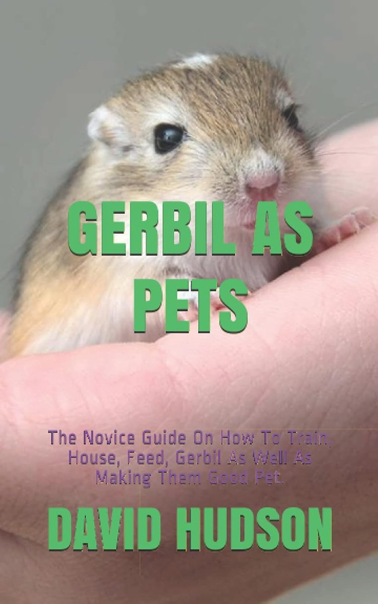AS PETS: The Novice Guide On How To Train, House, Feed, Gerbil As Well As Making Them Good Pet.
