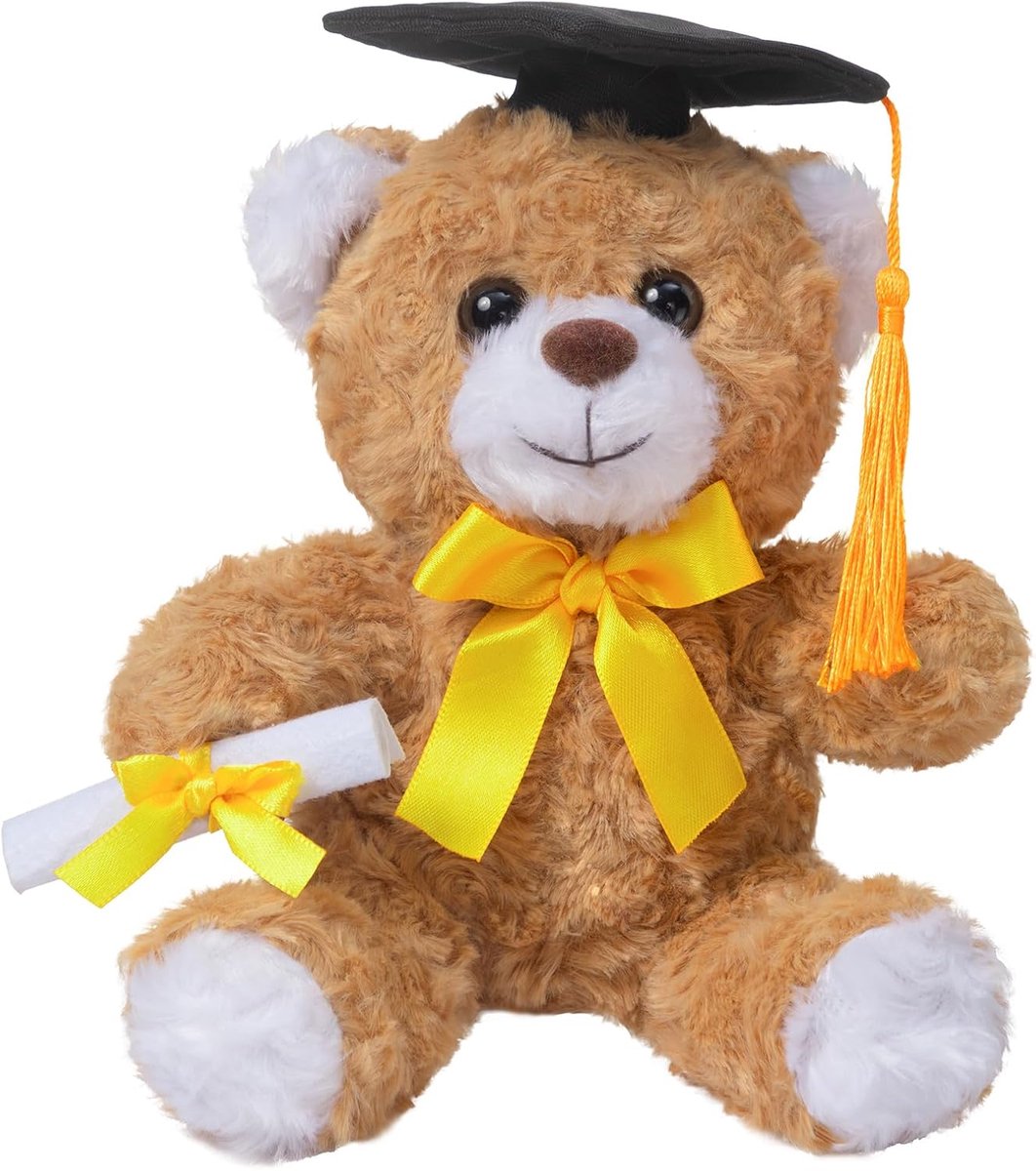 Afstudeerbeer pluche examenbeer, pluche beer, teddybeer, teddy-cadeau voor afstuderen, knuffeldier voor eindexamenstudie, 20 cm