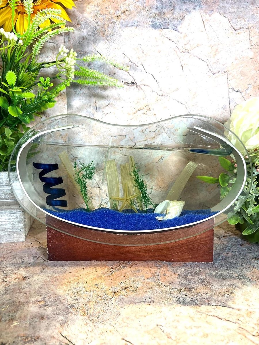 Gelei Kaars Schelp - Zee Decoratie - Sfeerverlichting Thuis - Op Houten Standaard - 23cm x 16.5cm - Transparant