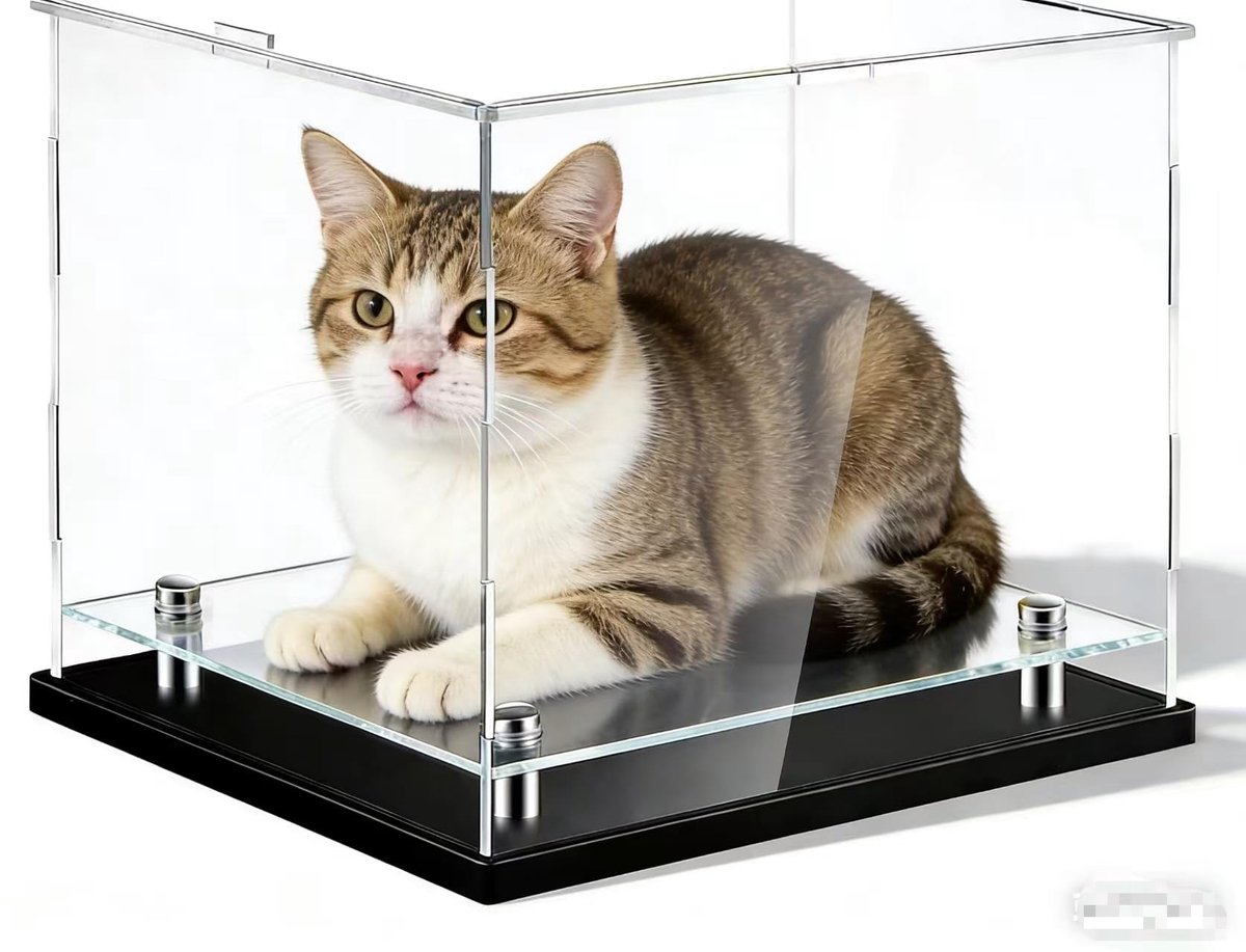 Omgoods - Dichte Acryl Display Case - Dustproof Showcase voor Verzamelobjecten