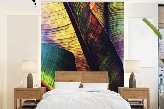 Behang - Fotobehang Planten - Bananenplant - Tropisch - Breedte 165 cm x hoogte 220 cm