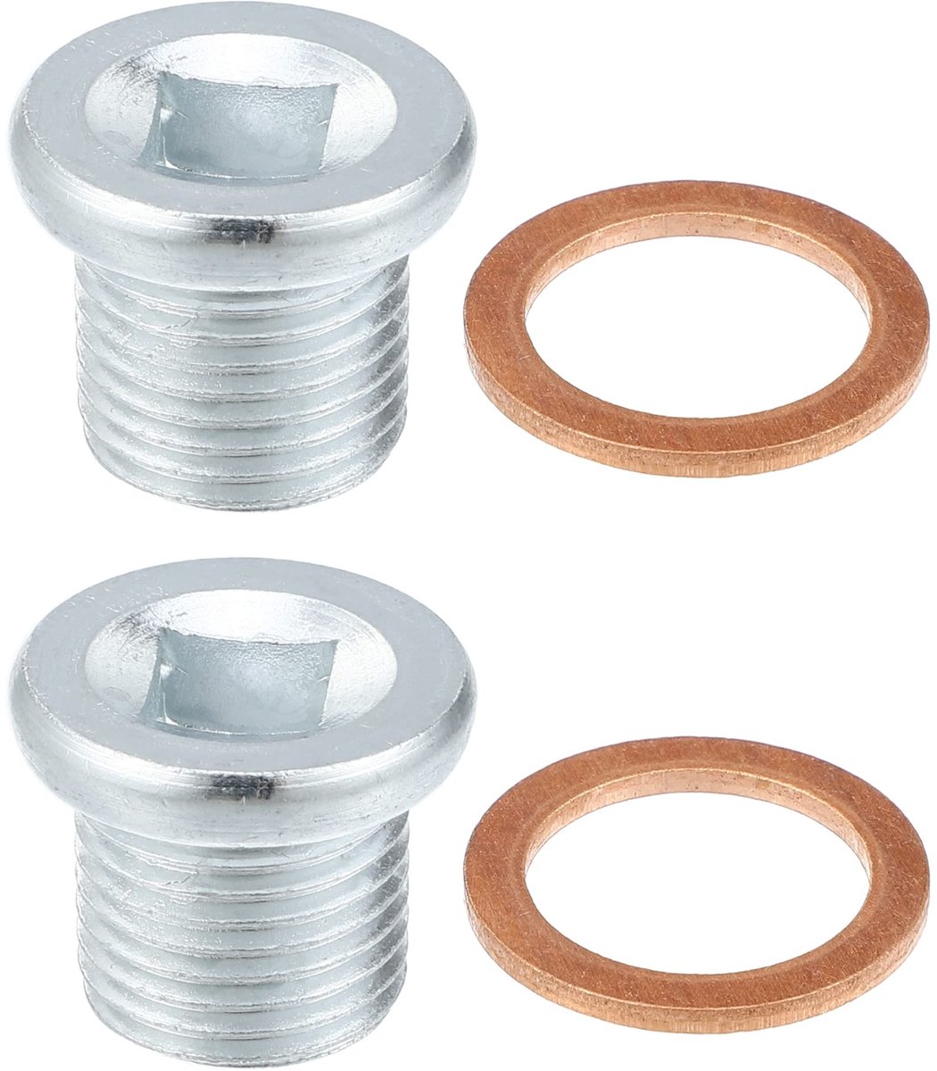 Dailygoods- Afvoerplug Hoge Kwaliteit - M16x1.5 Schroef - Zilveren Kleur - Staal - Eenvoudige Installatie - Goede Afdichtingseigenschappen - Olieplug