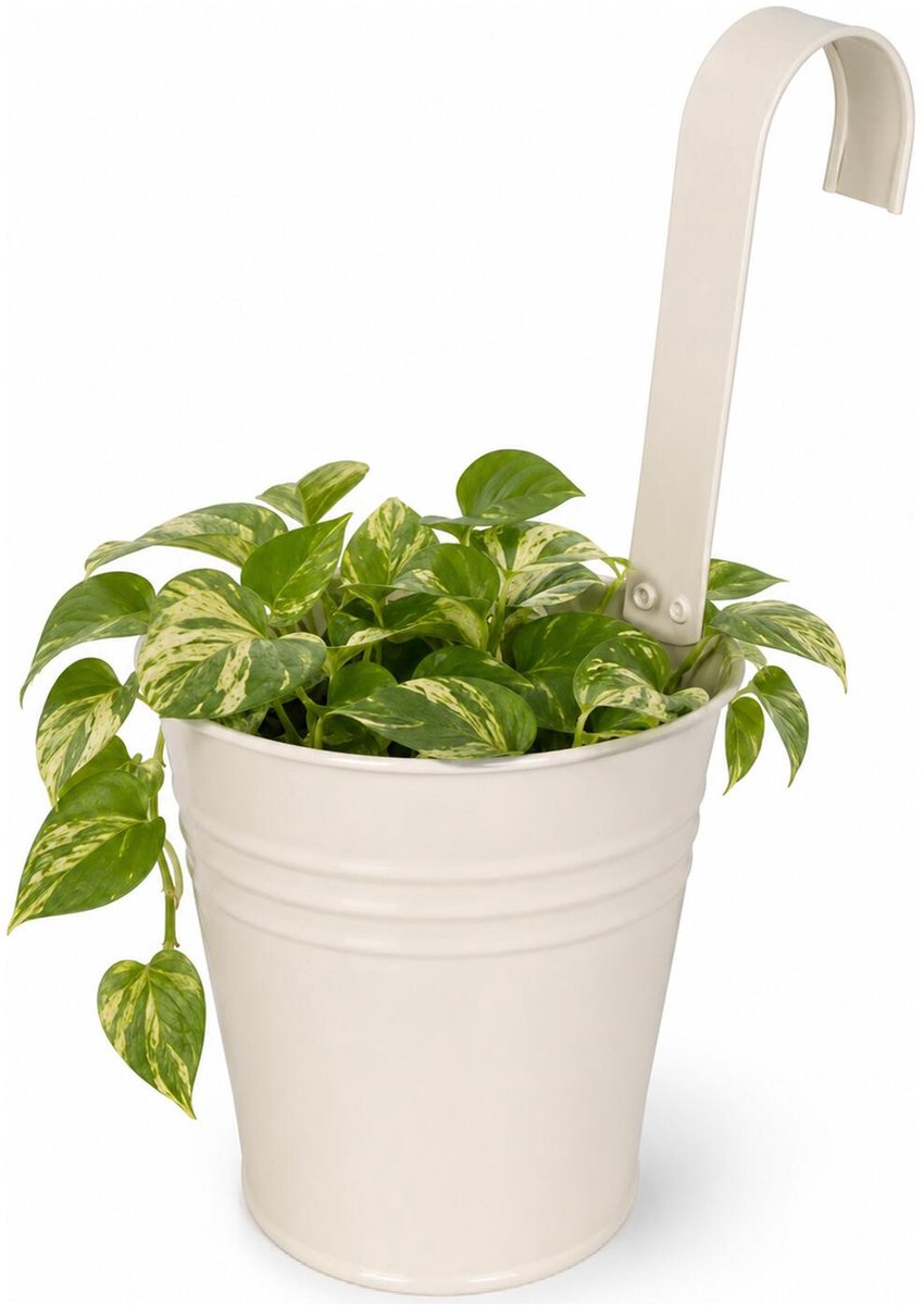 Progarden Bloempotje met haak - plantenbak zink met ophanghaak - wit - 20 x 13 x 26 cm - ophangbaar - Balkon/schutting plantenpot