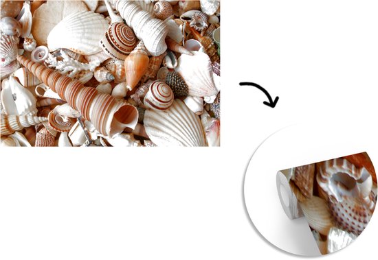 Papier Peint - Papiers Papier peint photo Coquillages - Plage - Collection - Largeur 450 cm x Hauteur 300 cm