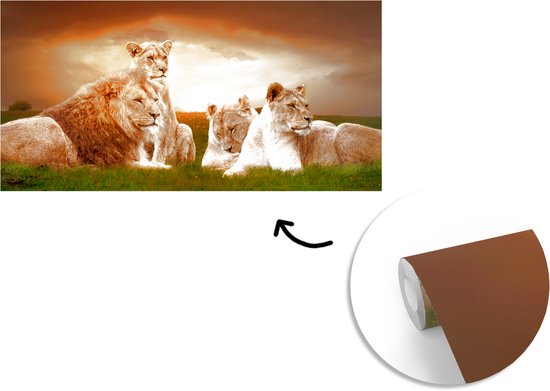 Papier peint - Papiers Papier peint photo Lions - Herbe - Ciel - Largeur 395 cm x Hauteur 220 cm