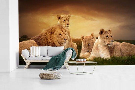 Papier peint - Papiers Papier peint photo Lions - Herbe - Ciel - Largeur 395 cm x Hauteur 220 cm