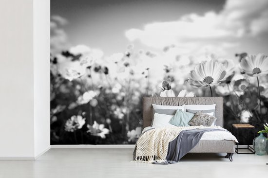 Papier Peint - Papier Papier peint photo Fleurs - Marguerite - Zwart - Wit - Largeur 420 cm x Hauteur 280 cm