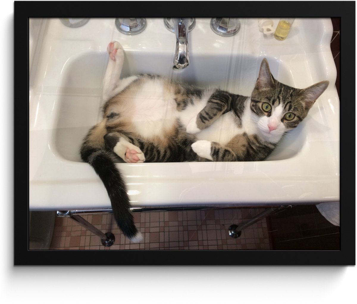 Poster in lijst - Fotolijst 40x30 cm - Posters - Kat - Wasbak - Badkamer - Posterlijst zwa