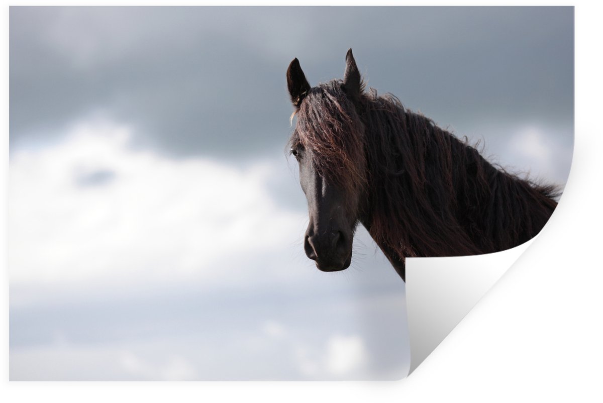 Muurstickers - Sticker Folie - Paarden - Lucht - Portret - 90x60 cm - Plakfolie - Muurstic