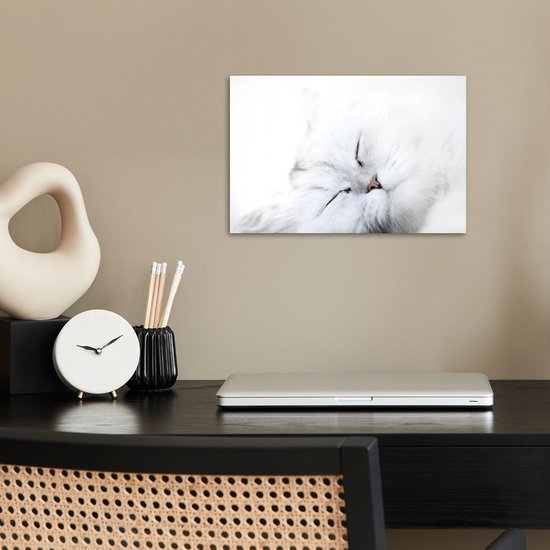 Poster 30x20 cm - Kat - Wit - Close up - Posters - Kamer decoratie - Wanddecoratie woonkamer - Muurdecoratie slaapkamer