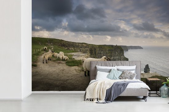 Behang - Fotobehang Schapen in Ierland - Breedte 360 cm x hoogte 240 cm