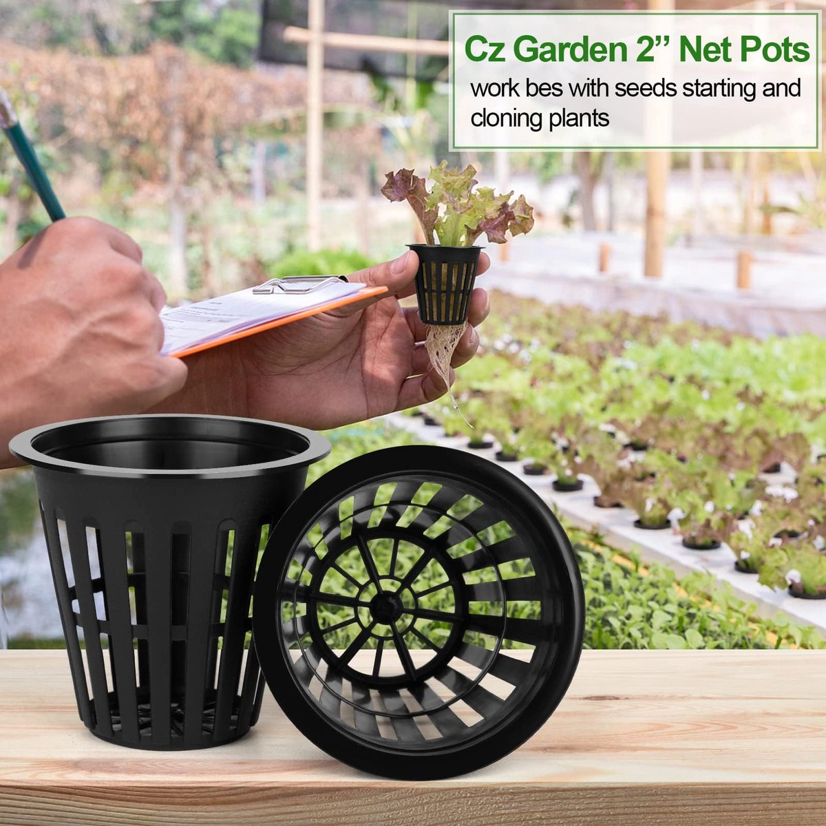 Net Pot - 15 stuks Hydrocultuurbekers, plantpotten voor watercultuur, plantbekers voor Hydroponic Supplies, zwart (15STUKS)