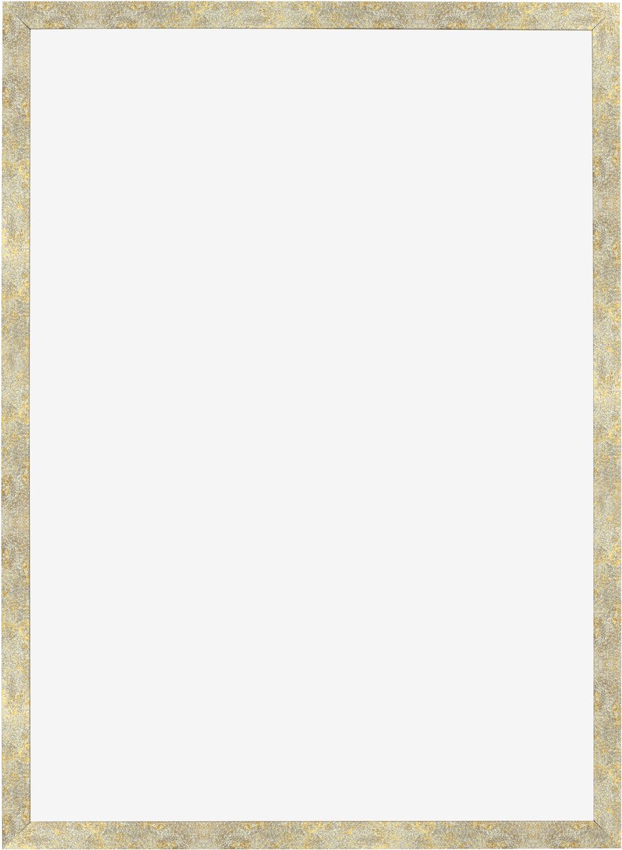 Fotolijst 42x60 cm - MDF - Zilver-Goud Hamerslag - Benno