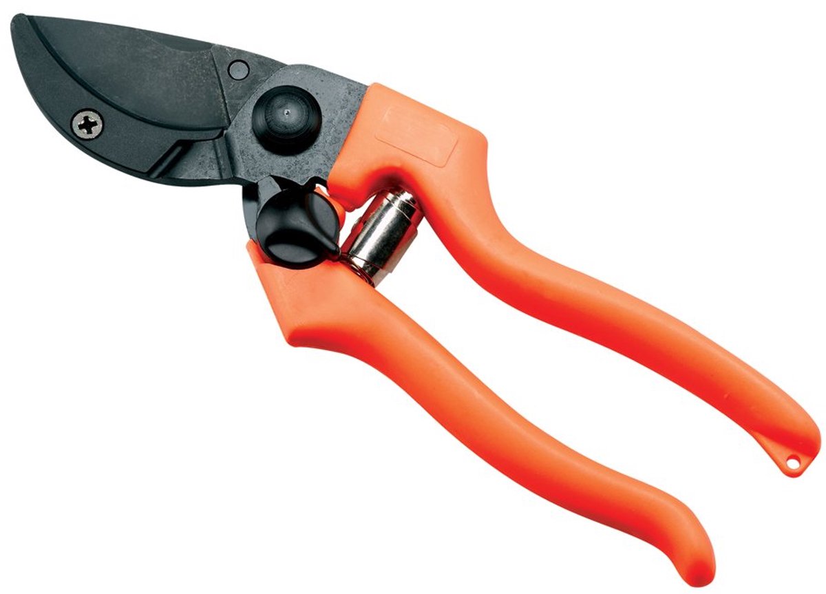 Tuinschaar boomschaar wijnschaar 20 cm patin 5