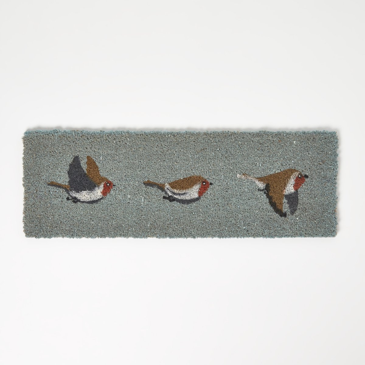 Homescapes Robin-deurmat – Kokosmat die vuil opvangt, 25 x 75 cm