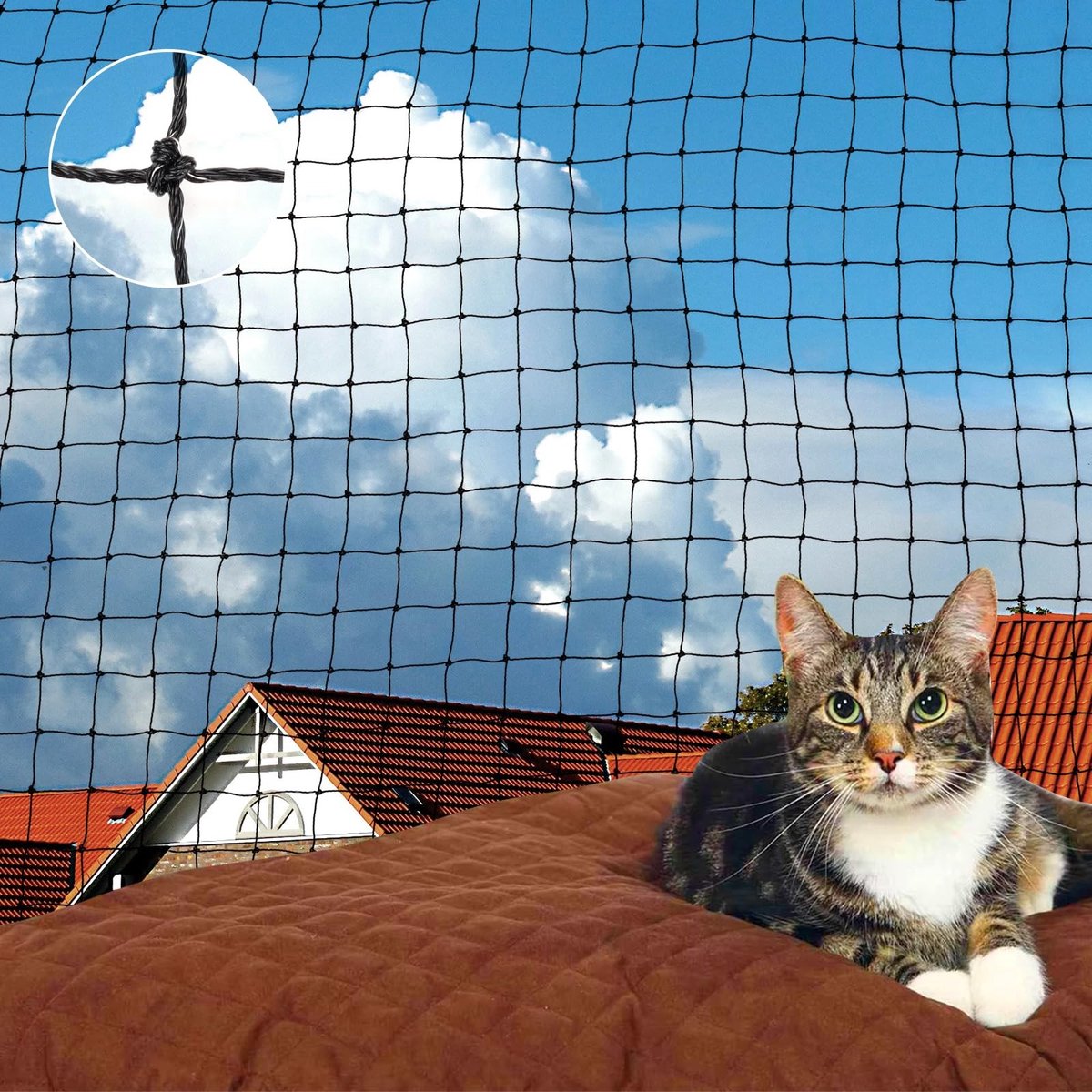 SolidKeus - Robuust Kattennet voor Balkon van 6 x 3 m