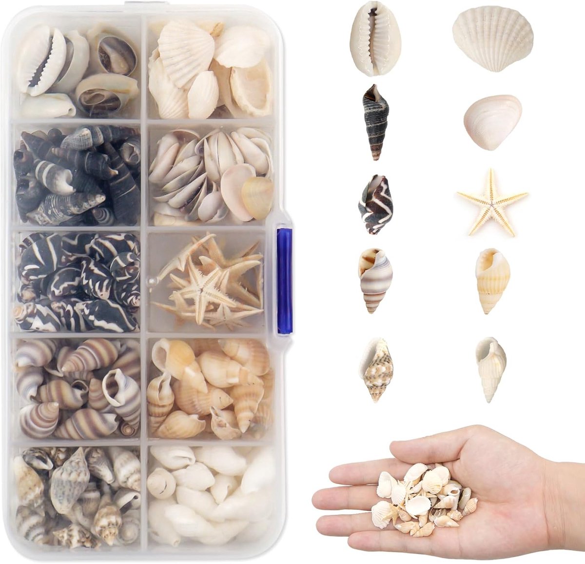 200-230 stuks kleine natuurlijke schelpen, decoratieve schelpen, knutselschelpen, gemengd, zonder boren, mini-schelpen, zeesterren, schelpkralen voor vaasvulling, schilderijen
