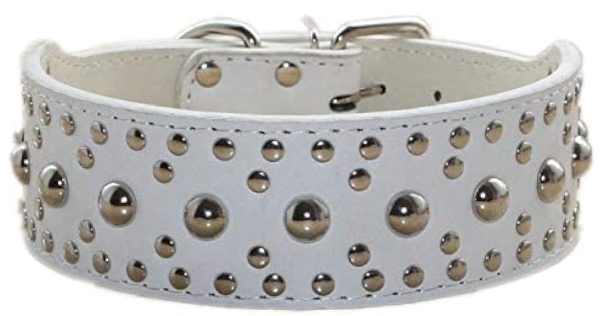 SolidKeus - Faux Leer Hondenhalsband met Studs voor Middelgrote en Grote Honden