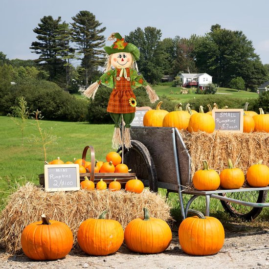 Oogst vogelverschrikker, decoratieve staander, vogelafweer, staande stropop, decoratiefiguur, tuinsteker, bloembed, bloembed, decoratie, figuur Halloween, decoratie voor herfst, Thanksgiving thuis en tuin — afbeelding 3