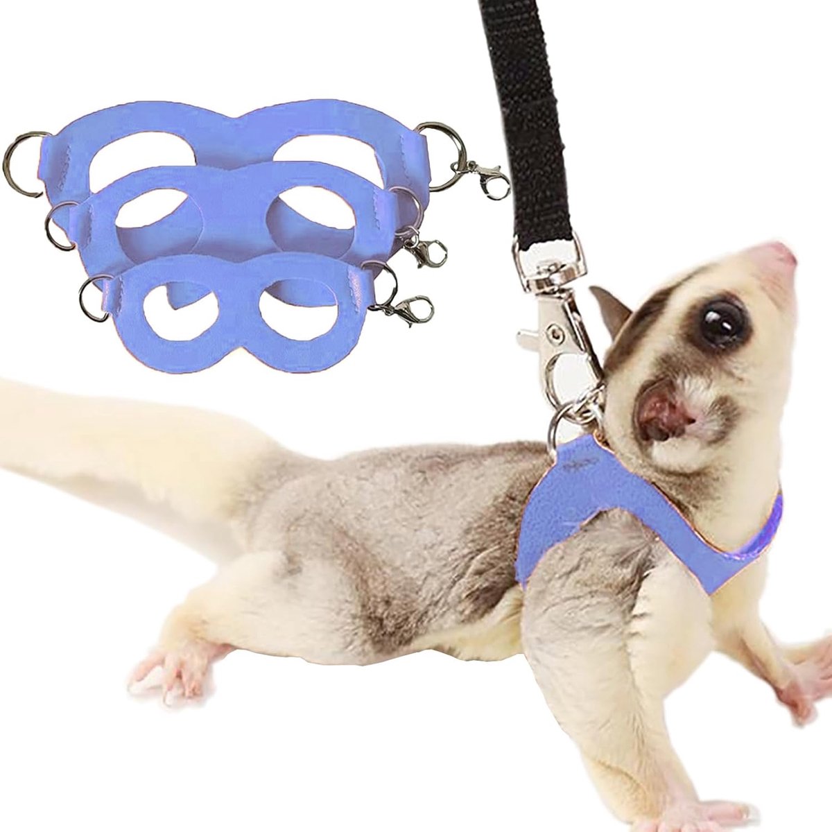 3-pack Sugar Glider harnas en riem set klein dier training wandelen vest voor eekhoorn hamster rat blauw