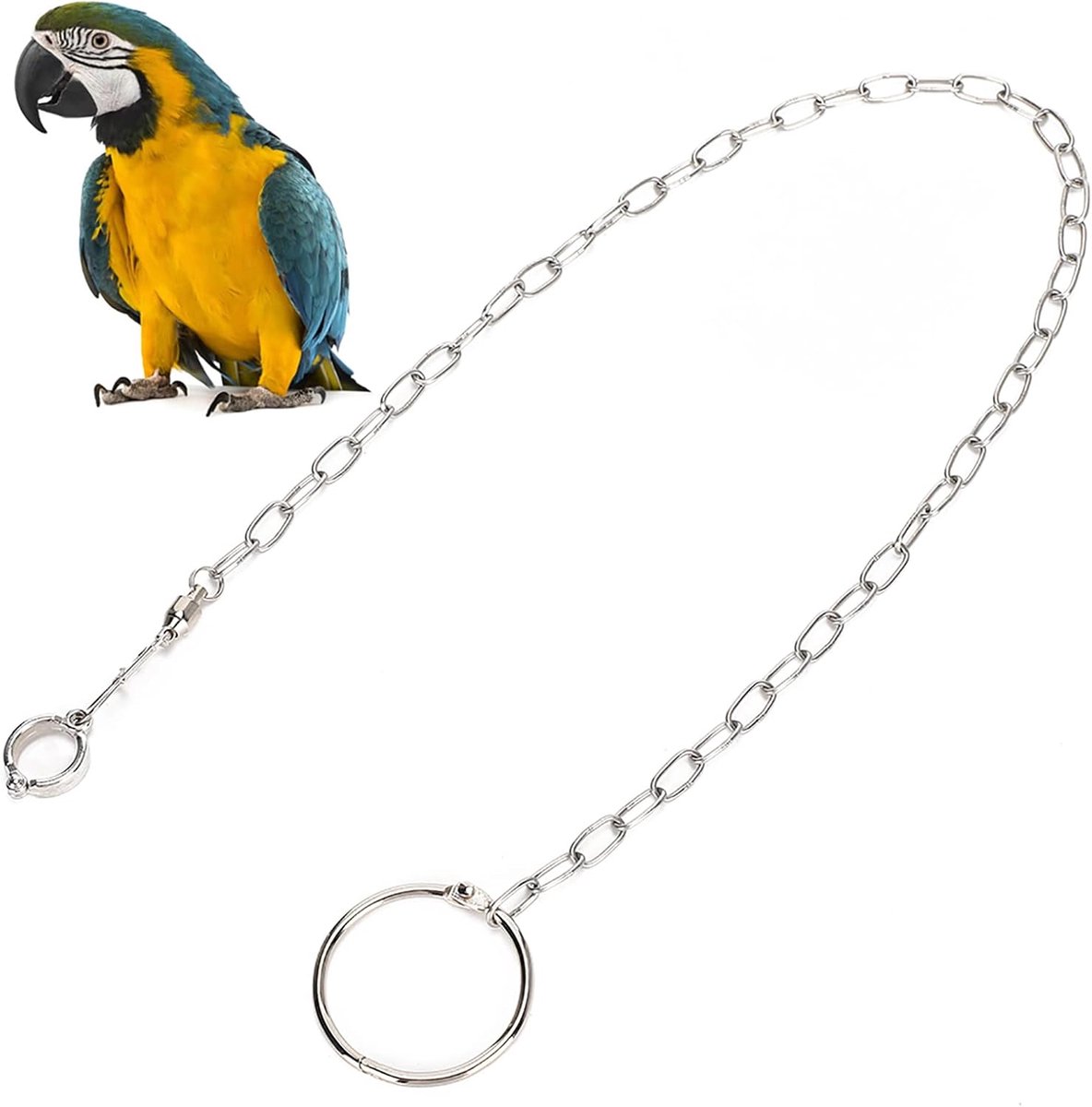 SnelShoppen - Parrot Voetketting, Duurzaam Rvs Vogelpoot Leibel Split Enkelriem Ring voor Kleine Vogels Papegaaien Dieren Training