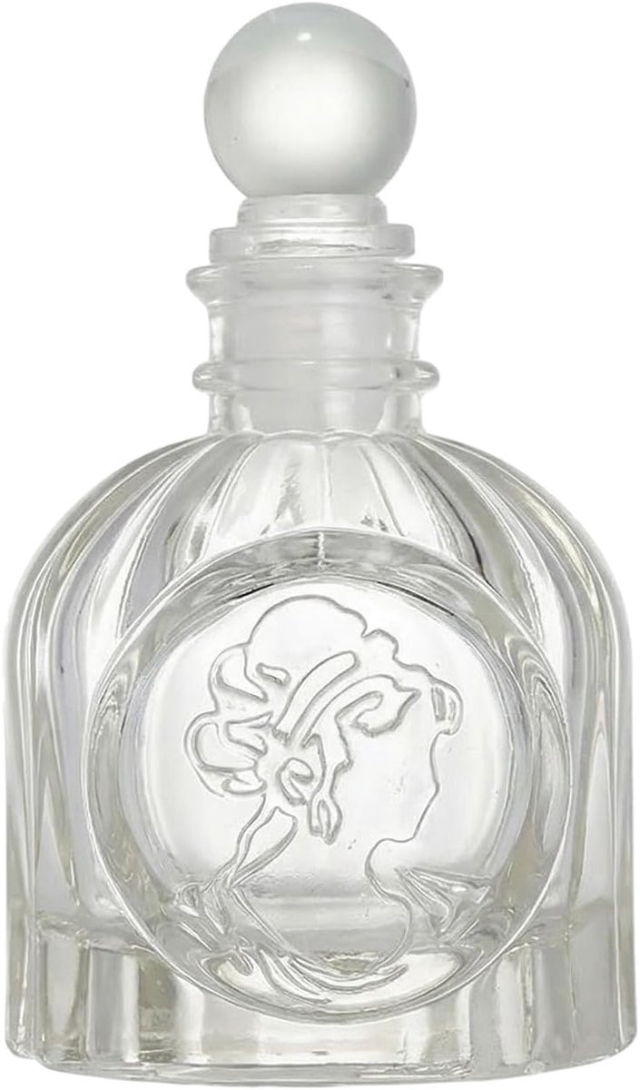 SnelShoppen - Lege Aroma Diffuser Fles Jar met Deksel 100ml - Aromatherapie Opslagcontainer - Geuraccessoires voor Thuis - Duidelijk Glas - Decoratie