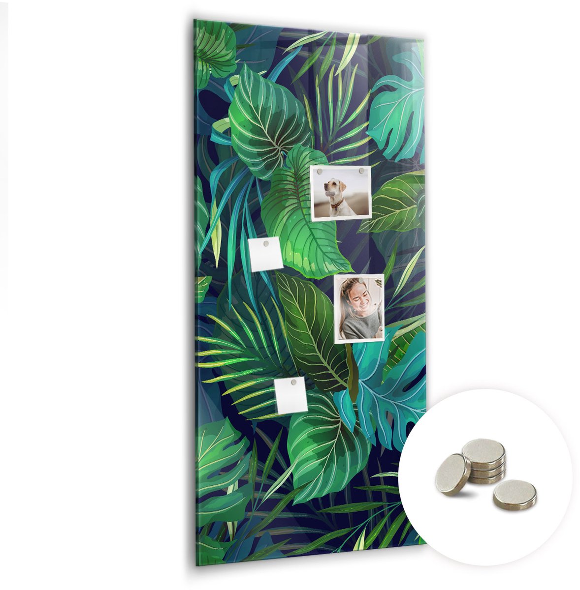 Coloray Glazen Magneetbord - Magnetisch Bord Vulkaanlava - 60x120 cm - Groente Magneetbord - Magnetic Board - Wanddecoratie